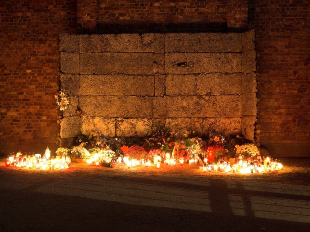 From Krakow: Auschwitz Birkenau Self-Guided Tour | ®ExcursionMania