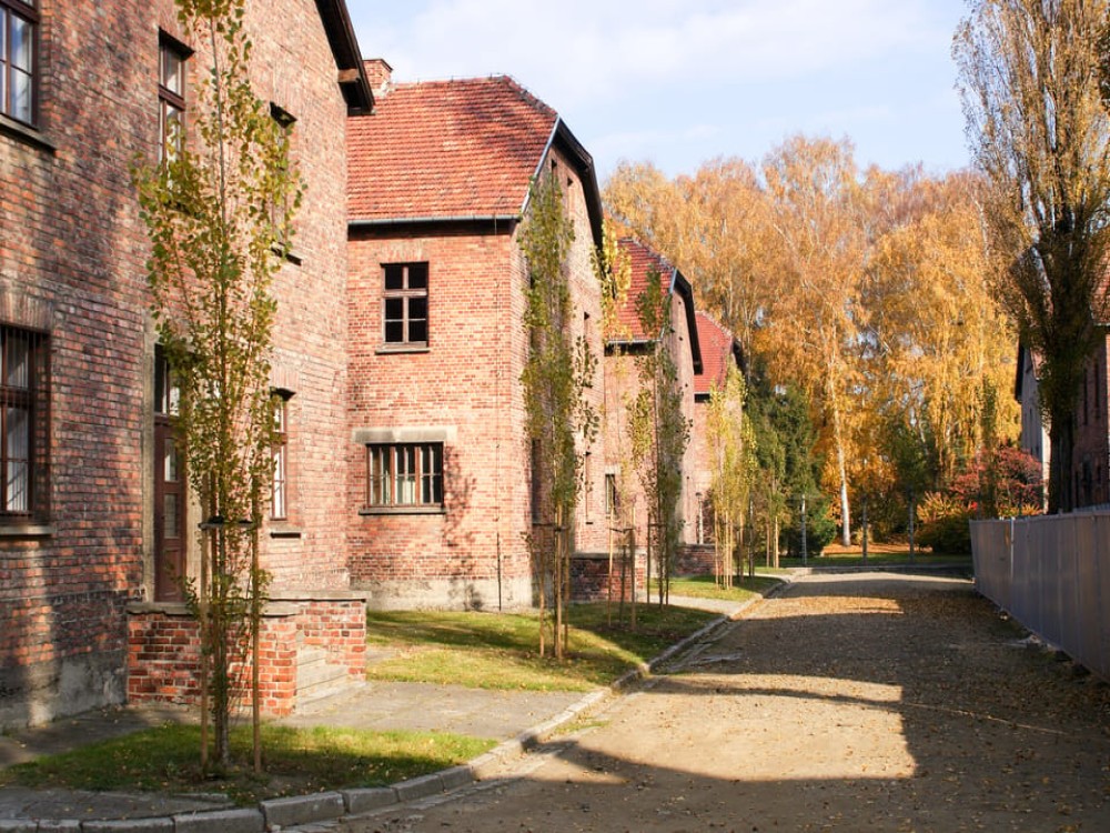 From Krakow: Auschwitz Birkenau Self-Guided Tour | ®ExcursionMania