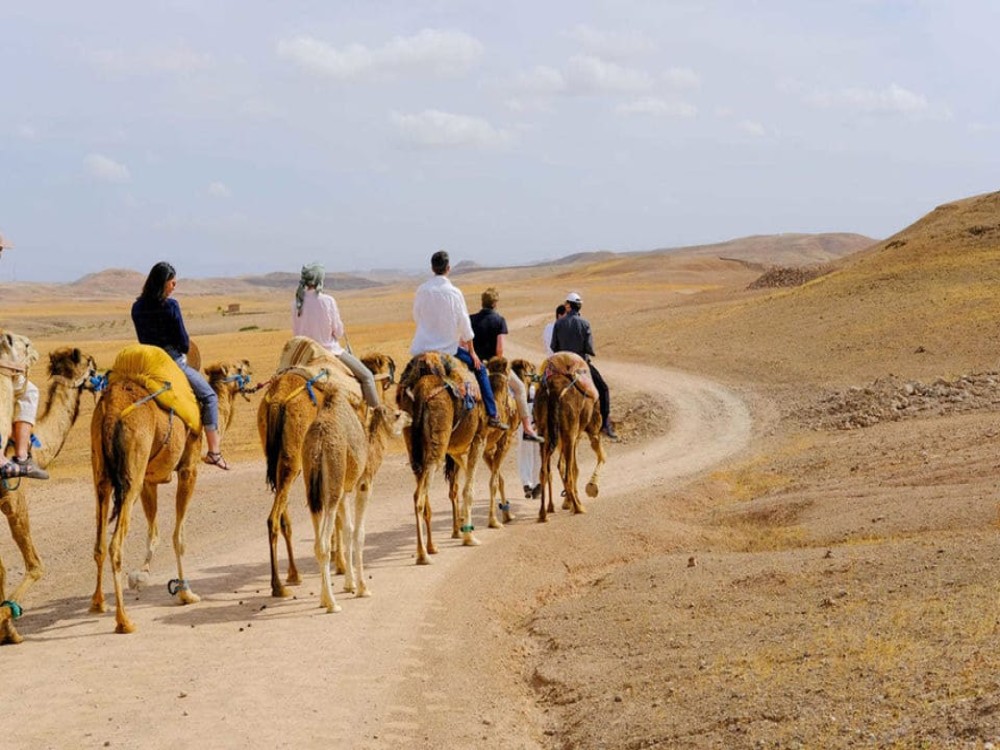 Agafay Desert: Sunset Camel Ride & Moroccan Dinner with Pool | ®ExcursionMania