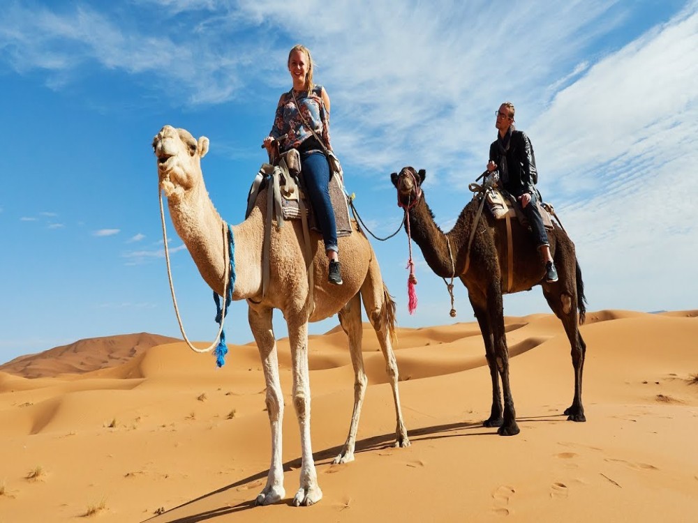 Agafay Desert: Sunset Camel Ride & Moroccan Dinner with Pool | ®ExcursionMania
