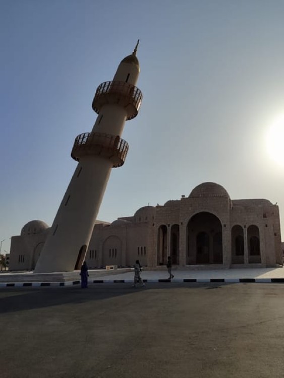Doha Camel Racing Track: Oryx Farm & Sheikh Faisal Museum | ®ExcursionMania