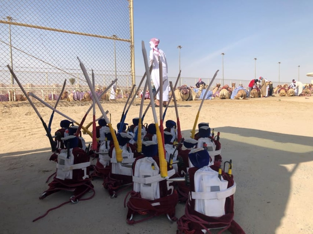 Doha Camel Racing Track: Oryx Farm & Sheikh Faisal Museum | ®ExcursionMania