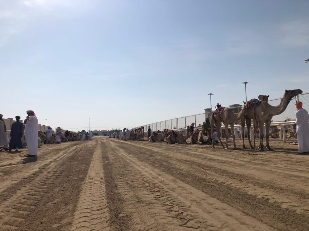 Doha Camel Racing Track: Oryx Farm & Sheikh Faisal Museum | ®ExcursionMania