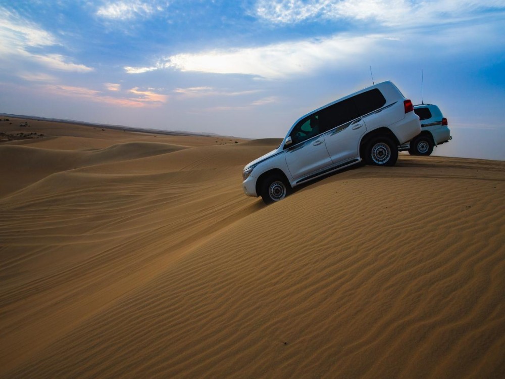Doha: From Cruise Terminal Desert Safari & City Tour FullDay | ®ExcursionMania