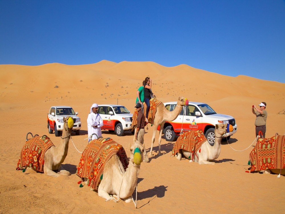 Doha: From Cruise Terminal Desert Safari & City Tour FullDay | ®ExcursionMania