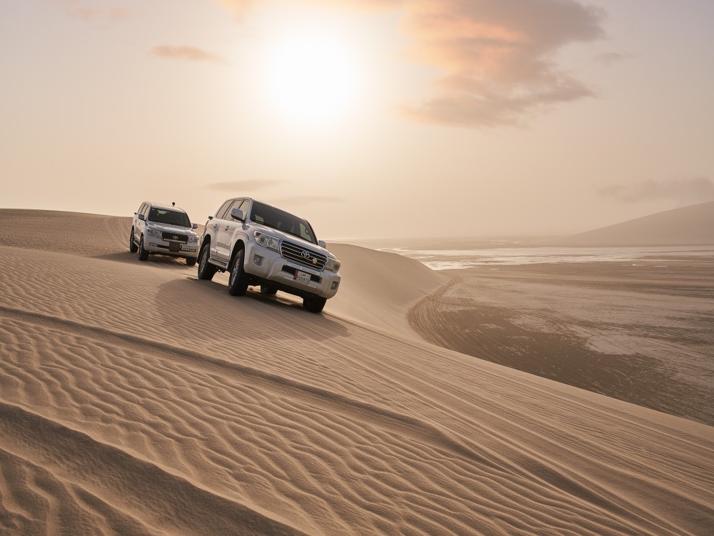 Doha: From Cruise Terminal Desert Safari & City Tour FullDay | ®ExcursionMania