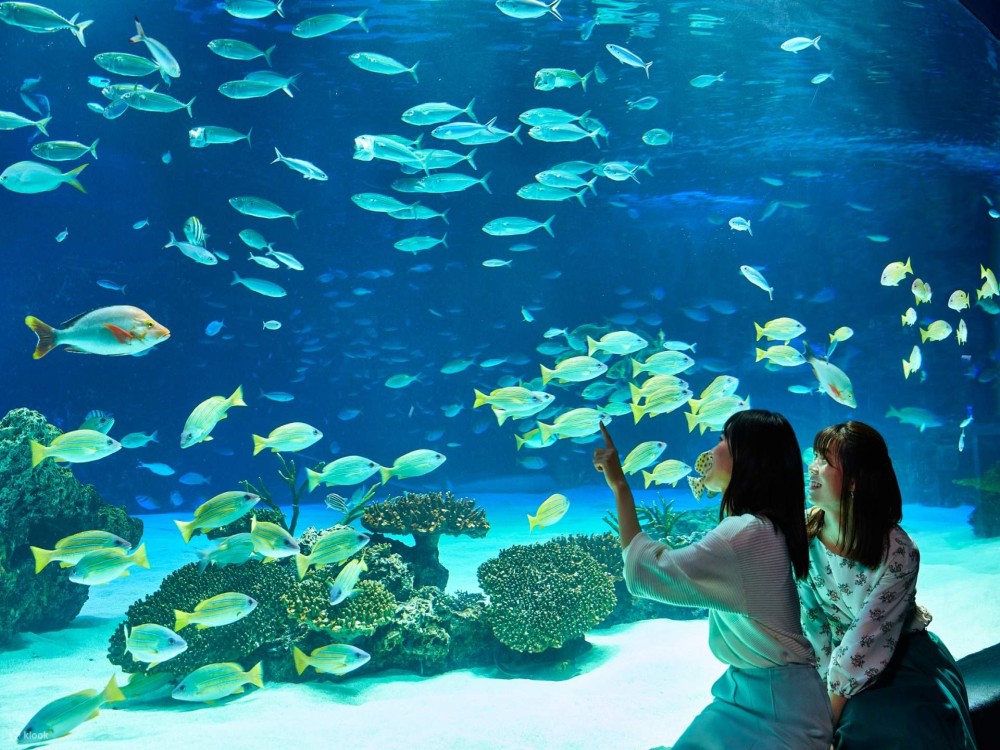 Aquarium & Face2Face Wax Museum from Antalya | ®ExcursionMania