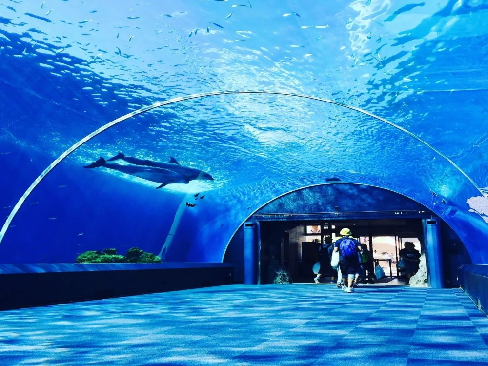 Aquarium & Face2Face Wax Museum from Antalya | ®ExcursionMania