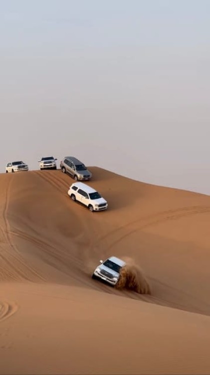 Doha Activities: Desert Safari Dune Bashing & Inland Sea | ®ExcursionMania