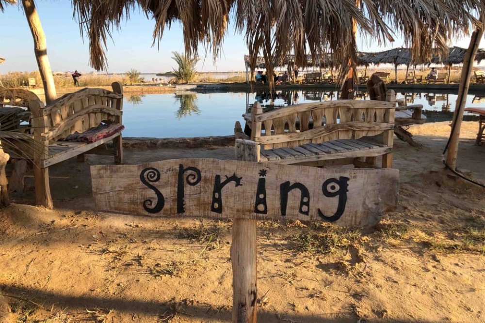 Cairo: 3-Day Siwa Oasis Tour Safari Camp & Historical Site | ®ExcursionMania