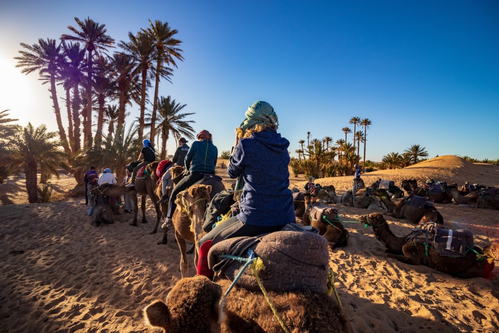 Marrakech Sunrise: Camel Ride and Breakfast in the Desert | ®ExcursionMania