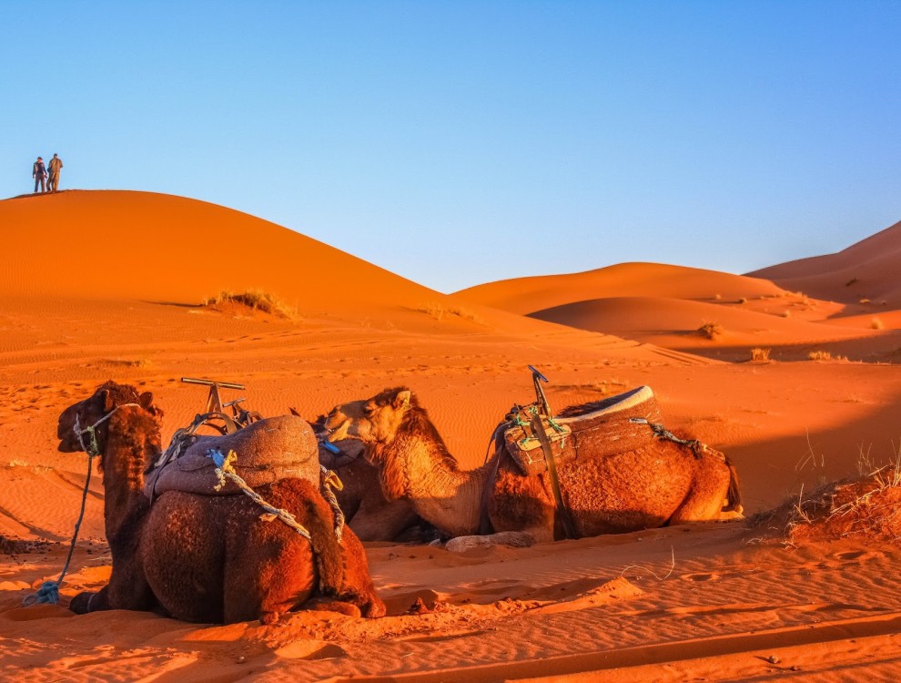 Marrakech to Merzouga: 3-Day Dades Valley & Sahara Desert Adventure | ®ExcursionMania