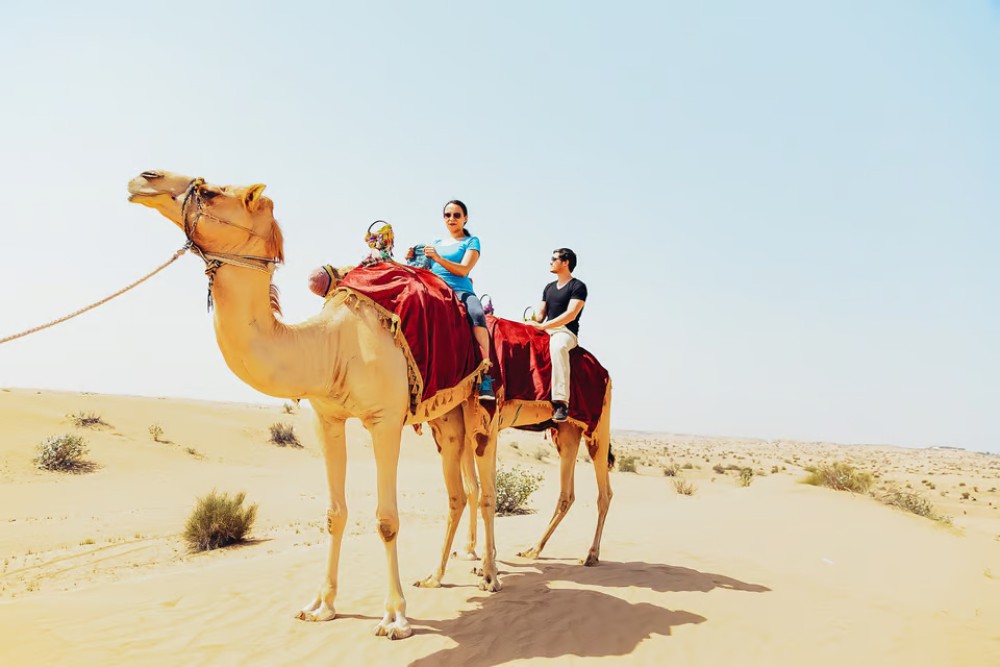 Doha: Sunset Desert Safari with Camel Ride and Sandboarding | ®ExcursionMania
