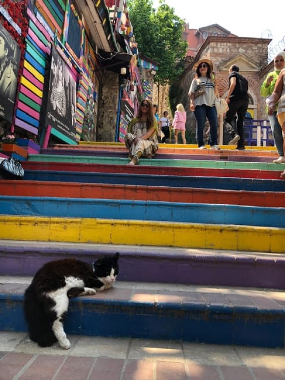 Istanbul: Fener Balat Old Greek and Jewish Quarter Tour | ®ExcursionMania