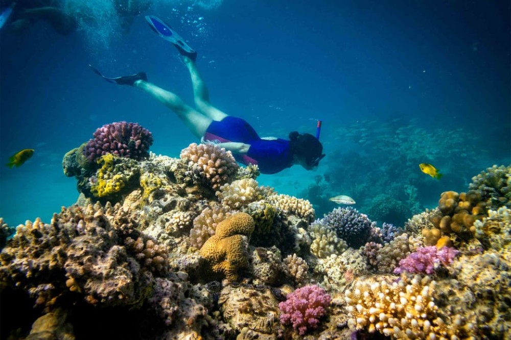 Hurghada: Giftun or Orange Islands with Snorkelling & Lunch | ®ExcursionMania