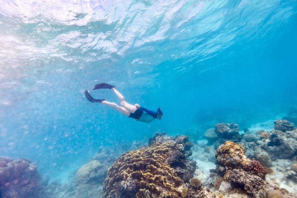 Hurghada: Giftun or Orange Islands with Snorkelling & Lunch | ®ExcursionMania
