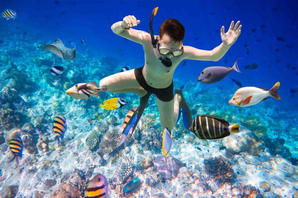 Hurghada: Giftun or Orange Islands with Snorkelling & Lunch | ®ExcursionMania