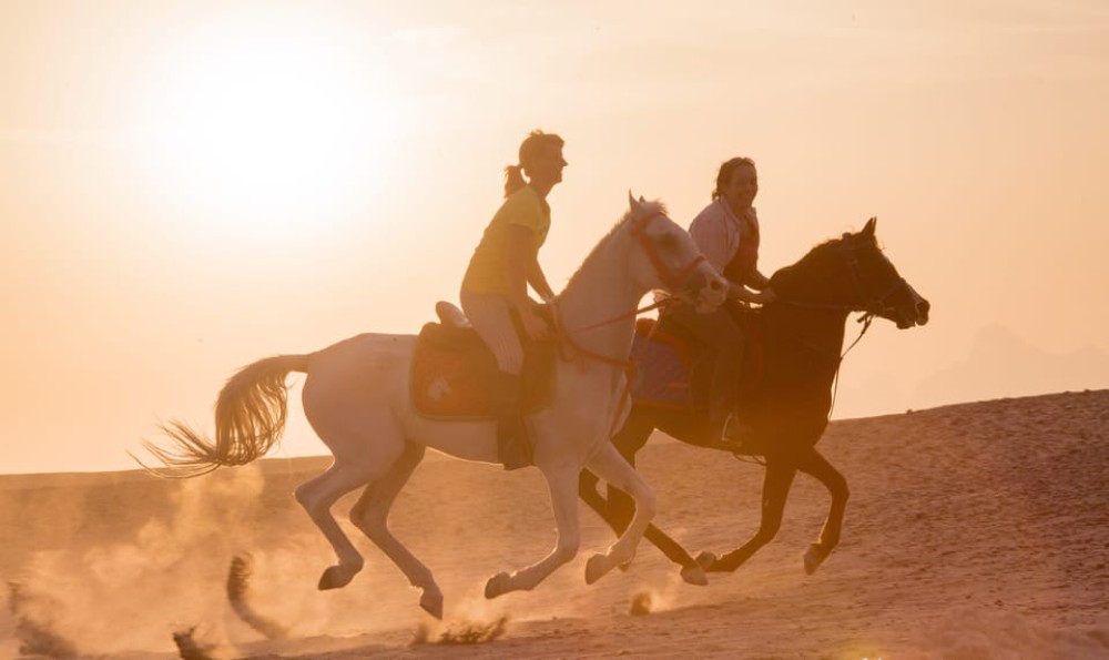 Hurghada: Quad Bike Safari Camel Horse Ride Dinner & Shows | ®ExcursionMania