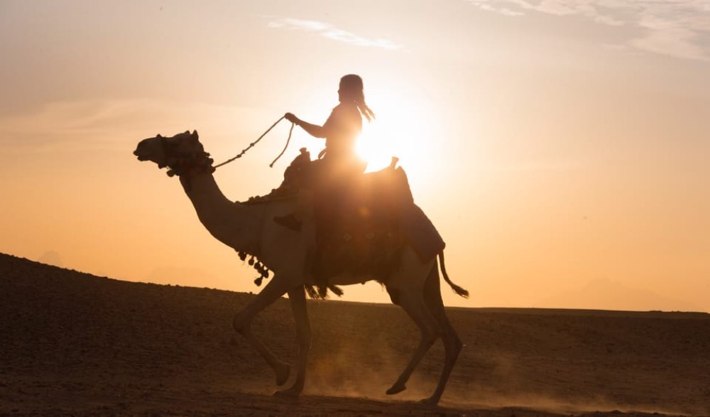Hurghada: Quad Bike Safari Camel Horse Ride Dinner & Shows | ®ExcursionMania