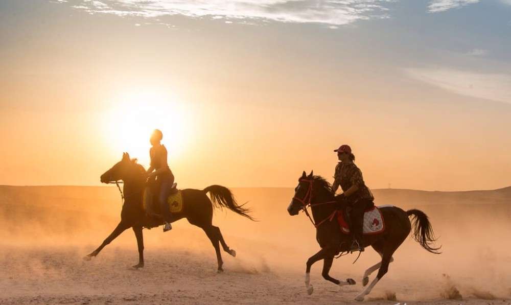 Hurghada: Quad Bike Safari Camel Horse Ride Dinner & Shows | ®ExcursionMania