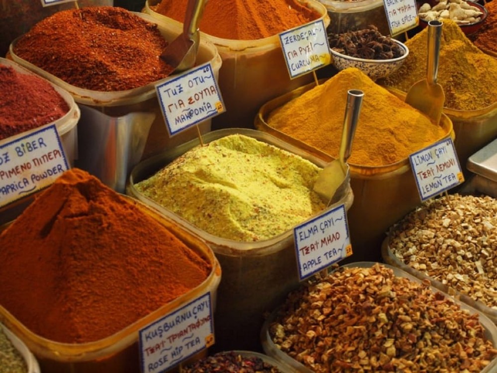 Istanbul’s Highlights: Private Layover Adventure | ®ExcursionMania