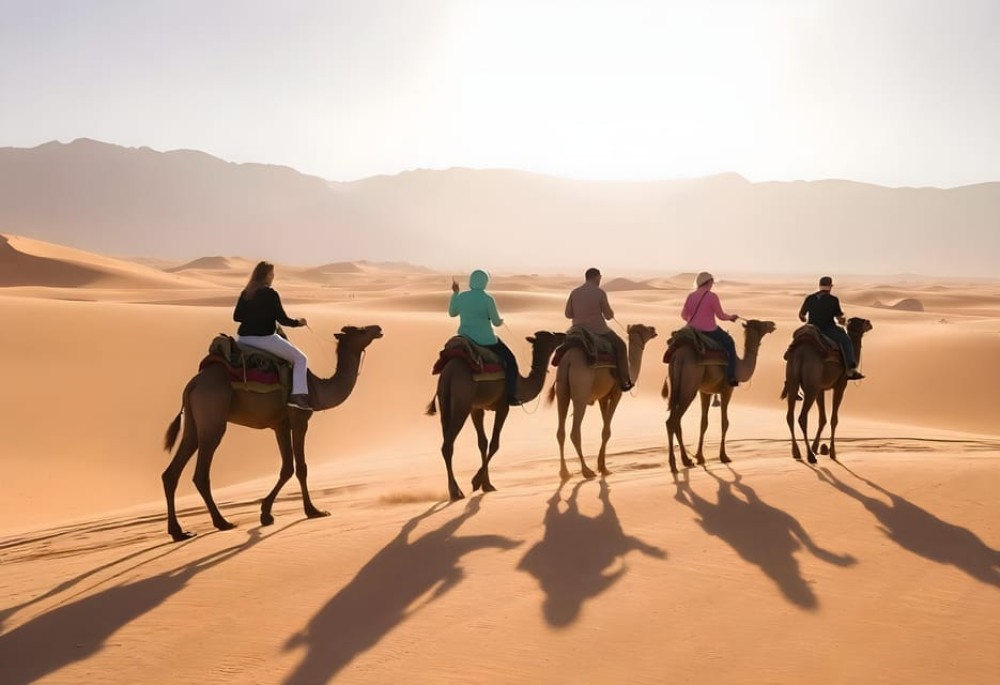 Sharm El-Sheikh: Ultimate ATV Quad Stargazing & BBQ Dinner | ®ExcursionMania