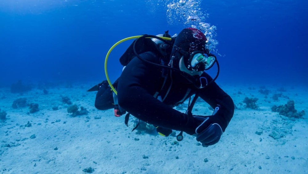 Hurghada: Diving and Snorkeling Tour with Transfers | ®ExcursionMania