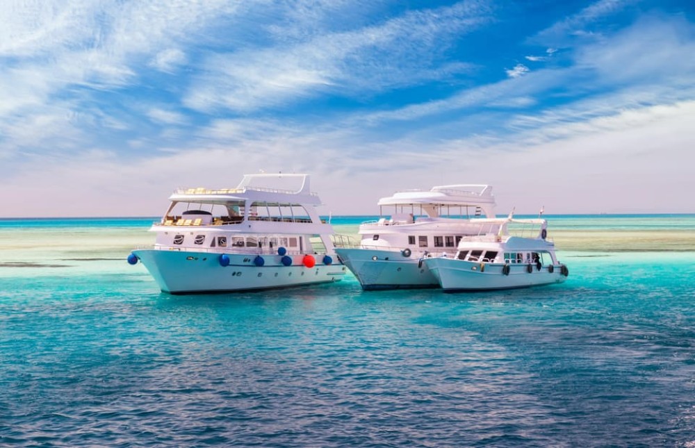 Hurghada: Diving and Snorkeling Tour with Transfers | ®ExcursionMania