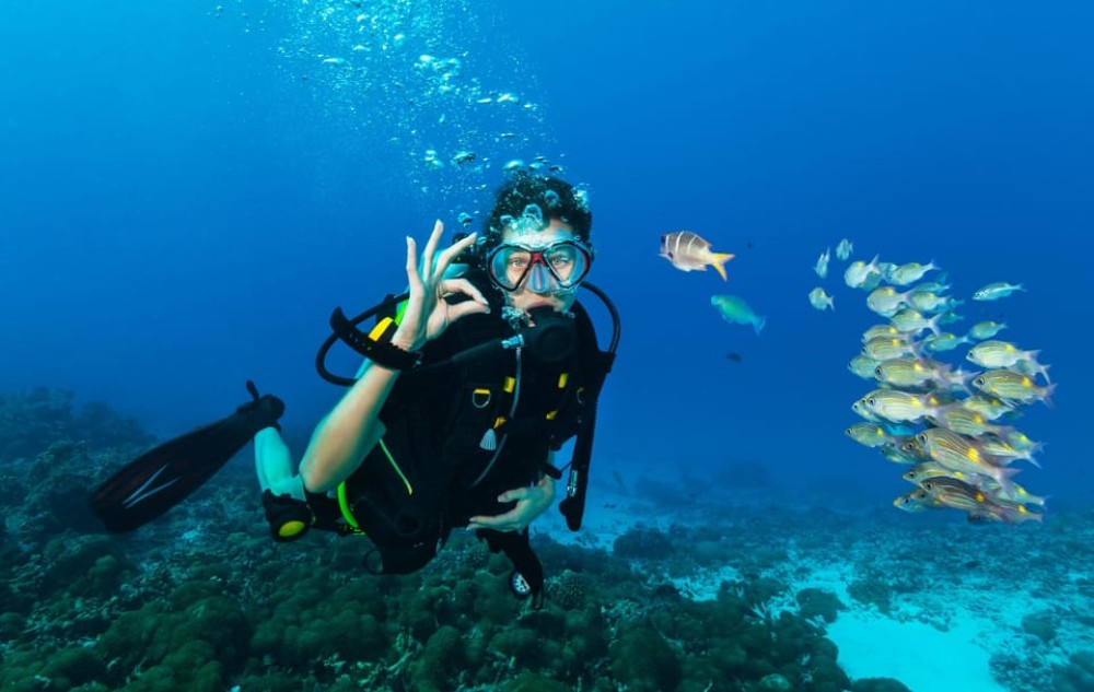 Red Sea Wonders: A Day Trip to Giftun Island from Hurghada