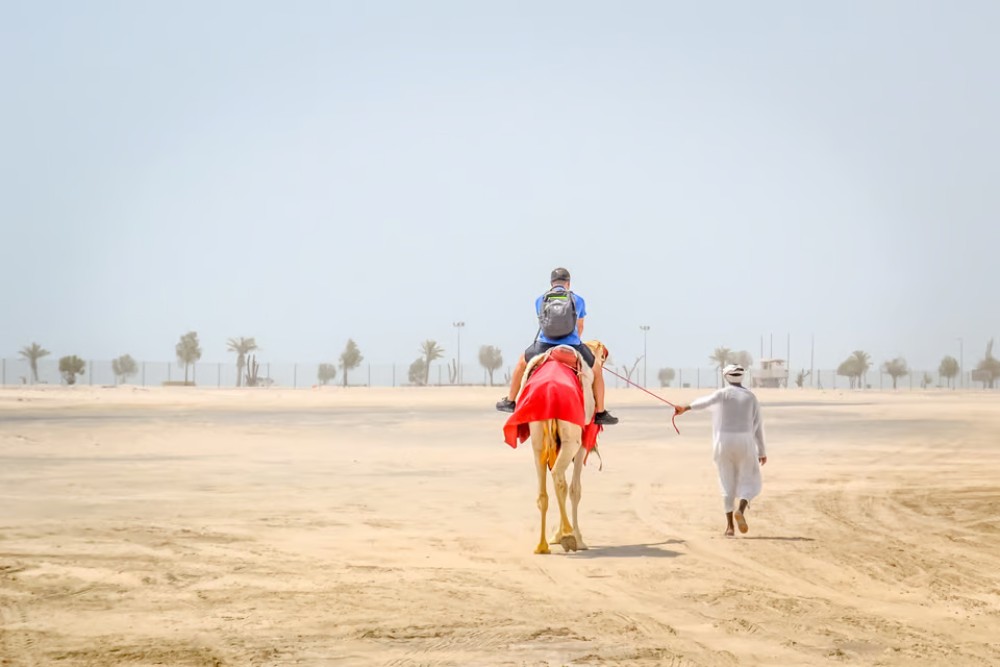 Doha: Desert Adventure w/ Dune Bashing Camels & Inland Sea | ®ExcursionMania