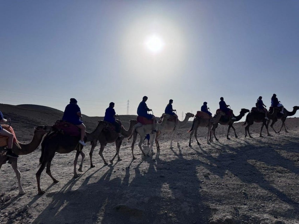 Experience Marrakech Desert: Quad Biking with Tea & Dinner | ®ExcursionMania