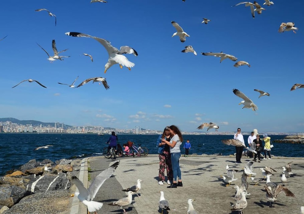 Istanbul: Round-Trip Ferry Tickets to the Princes' Islands | ®ExcursionMania