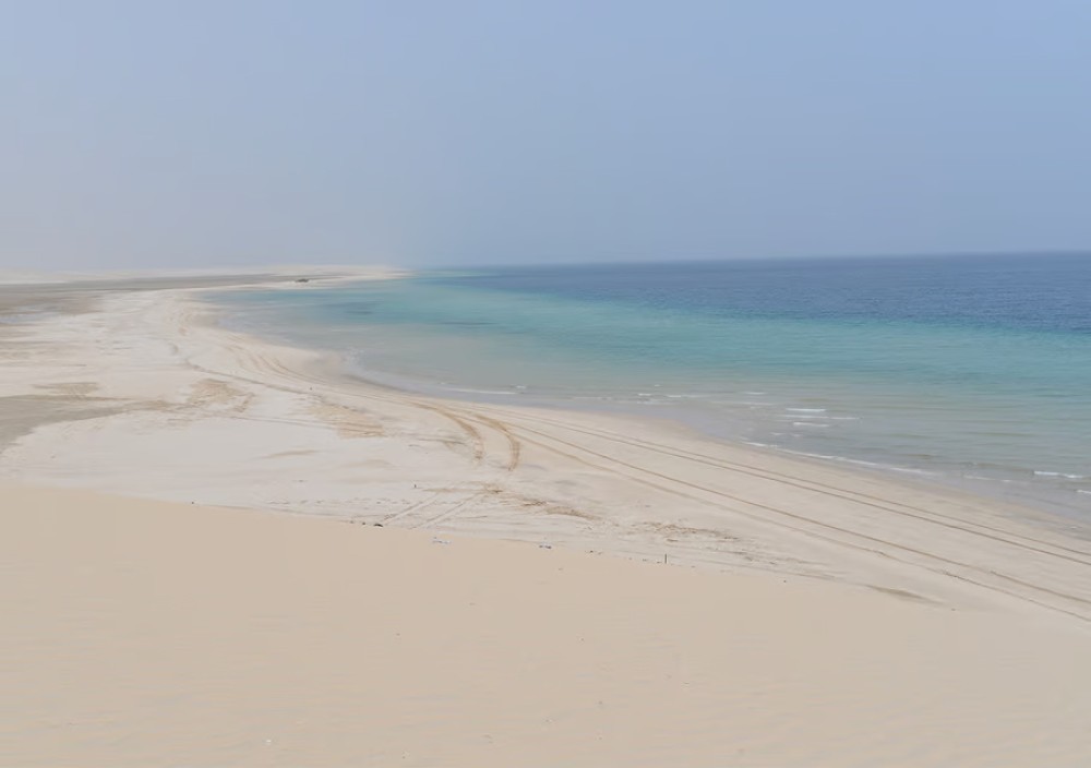 Doha: Desert Tour Camels Sand Surfing  Falcon Experience | ®ExcursionMania