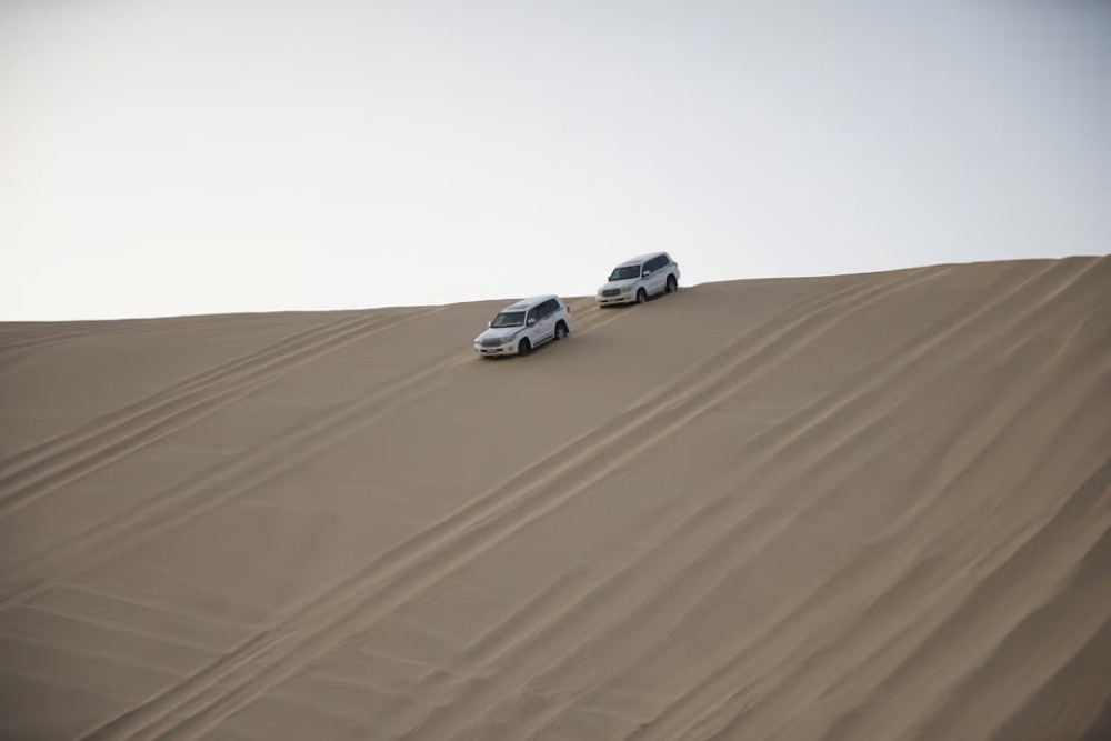 Doha: Desert Tour Camels Sand Surfing  Falcon Experience | ®ExcursionMania