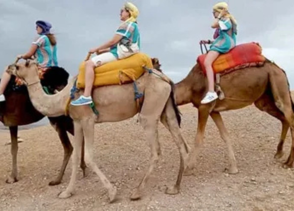 Agafay Desert-And Atlas Mountains & Camel-Trek-Day Trip From Marrakech | ®ExcursionMania