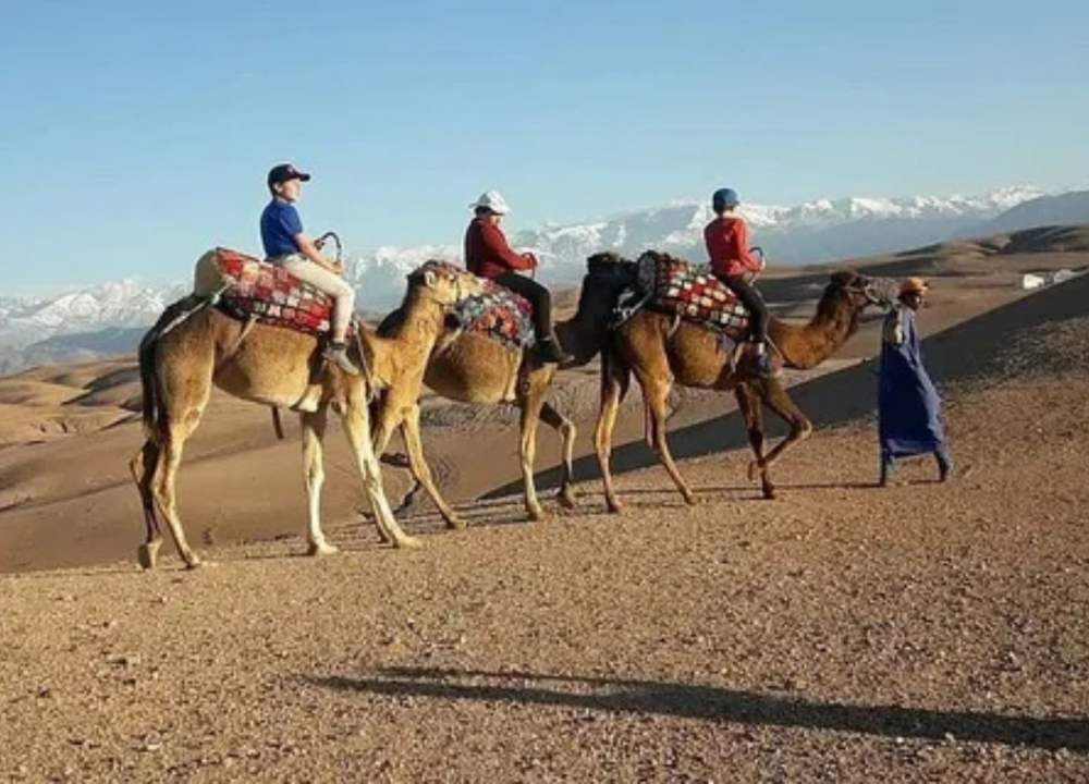 Agafay Desert-And Atlas Mountains & Camel-Trek-Day Trip From Marrakech | ®ExcursionMania