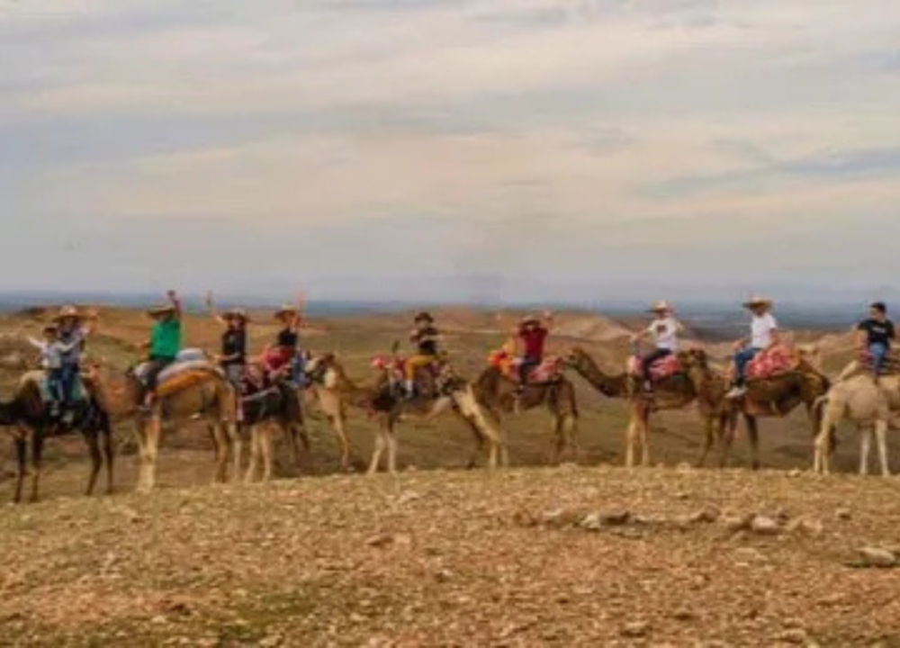 Agafay Desert-And Atlas Mountains & Camel-Trek-Day Trip From Marrakech | ®ExcursionMania