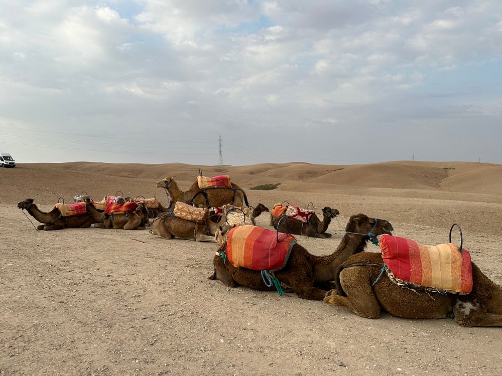 Agafay Desert & Sunset Camel Ride From Marrakech | ®ExcursionMania