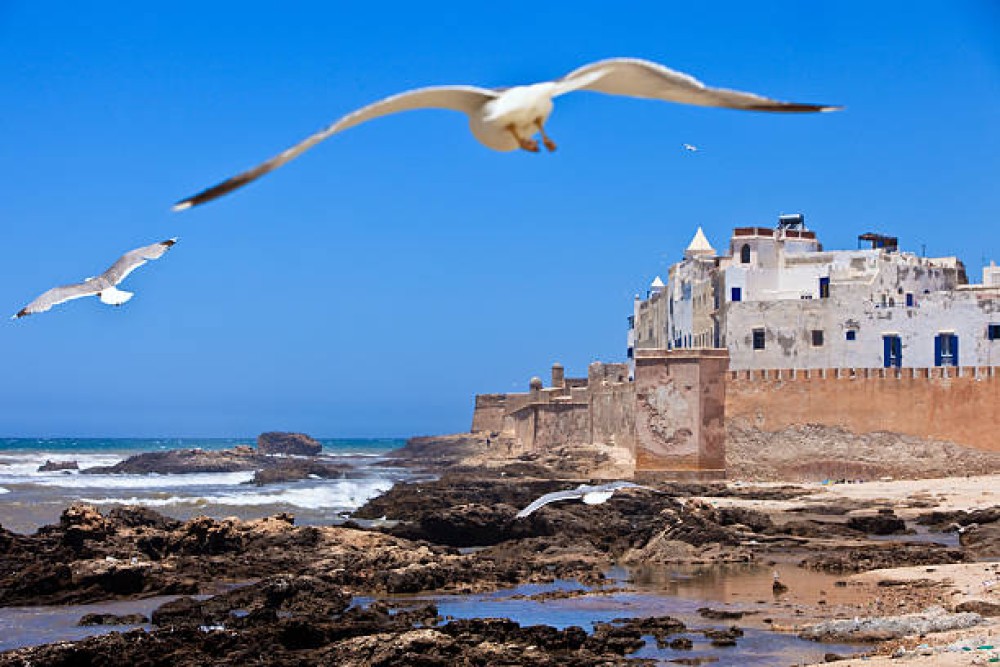 From Marrakech:  Essaouira Day Trip The Ancient Mogador City and Coast | ®ExcursionMania