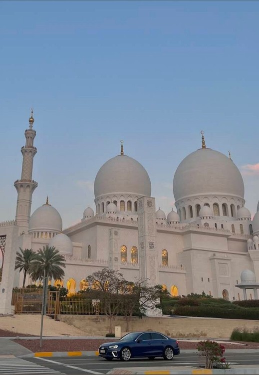 Abu Dhabi: Half Day Sightseeing Tour with Pick up & Drop off | ®ExcursionMania
