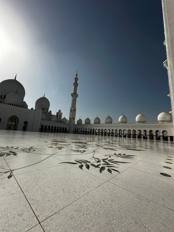 Abu Dhabi: Half Day Sightseeing Tour with Pick up & Drop off | ®ExcursionMania