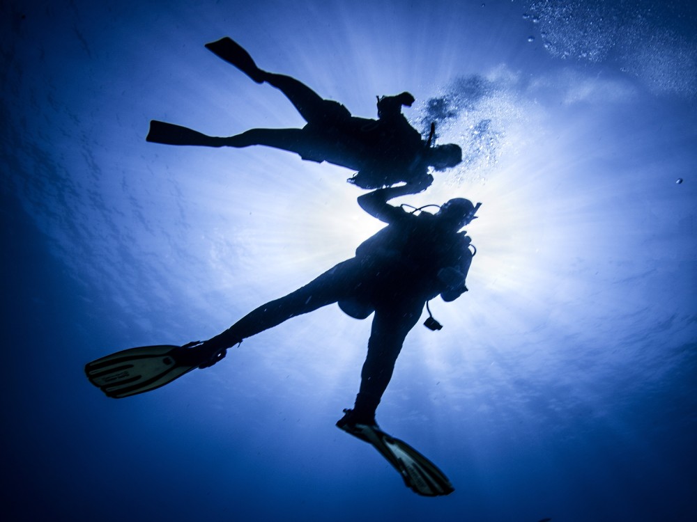 Marmaris Full Day Scuba Diving Two Dives With Lunch  Hotel Pickup | ®ExcursionMania
