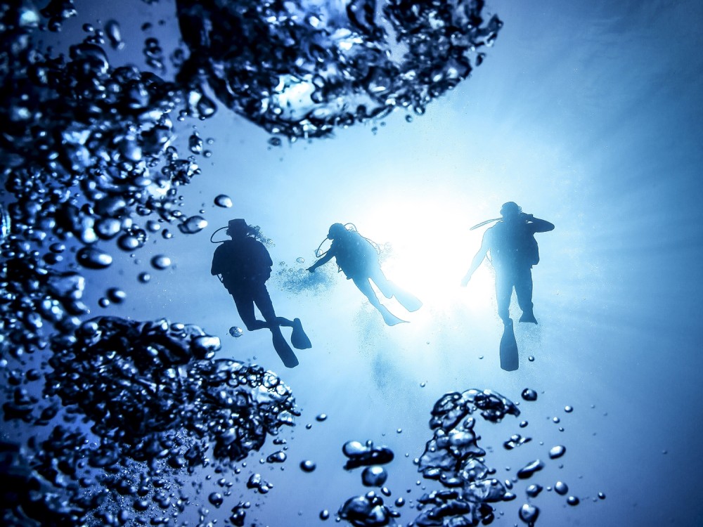 Marmaris Full Day Scuba Diving Two Dives With Lunch  Hotel Pickup | ®ExcursionMania