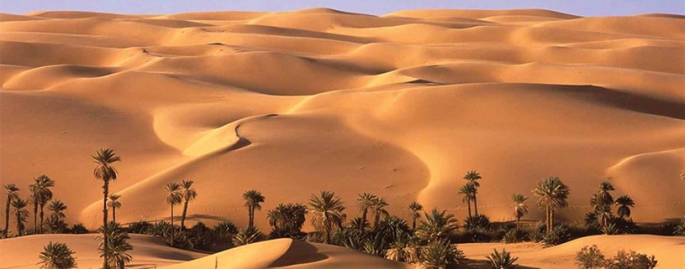 Bahariya Oasis Adventure: Black Desert, White Desert & Stargazing | ®ExcursionMania
