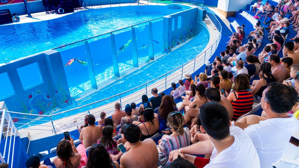 From Antalya/Kemer: Dolusu Aquapark with Hotel Transfer | ®ExcursionMania