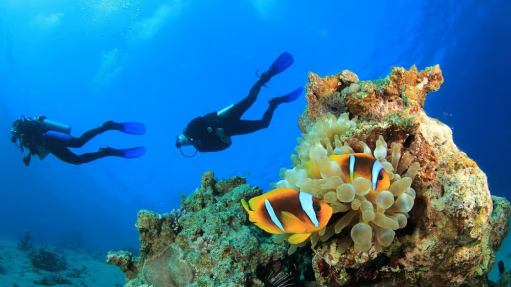 Alanya: Scuba Diving Tour with Lunch and Hotel Transfers | ®ExcursionMania