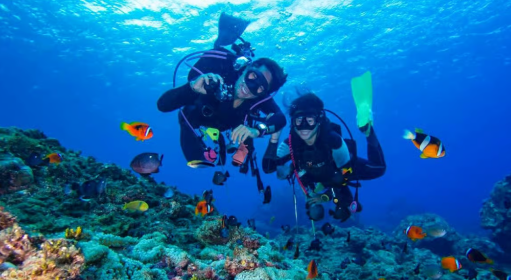 Alanya: Scuba Diving Tour with Lunch and Hotel Transfers | ®ExcursionMania