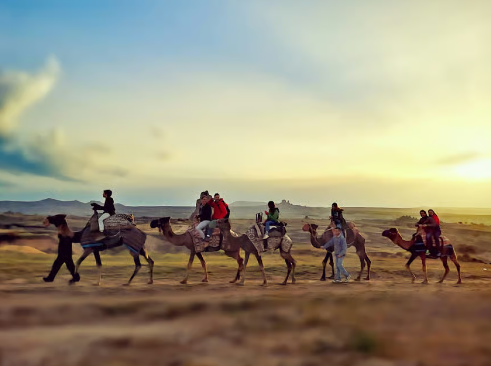 Cappadocia Camel Safari Tour | ®ExcursionMania