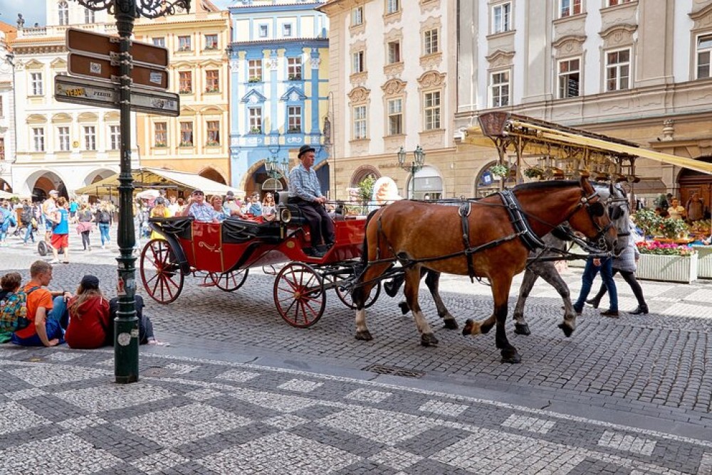 Prague Guided Walking Tour and Cruise with Authentic Czech Lunch | ®ExcursionMania