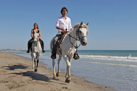 Bodrum Horse Riding Adventure | ®ExcursionMania